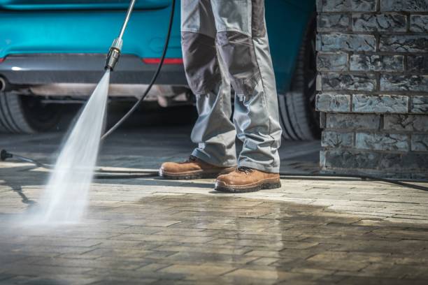 Boat and Dock Cleaning in St Leo, FL