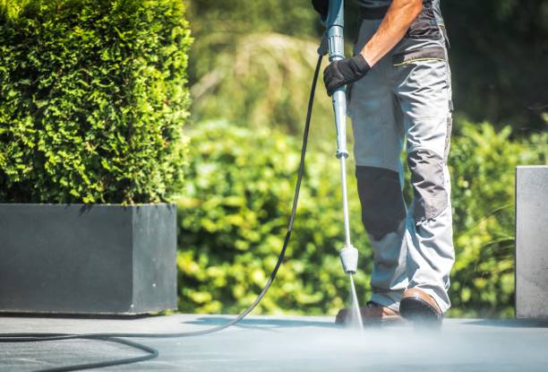 Professional  Pressure Washing Services in St Leo, FL
